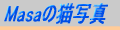 Masa�̔L�ʐ^