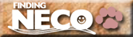 FINDING NECO